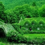English cottage