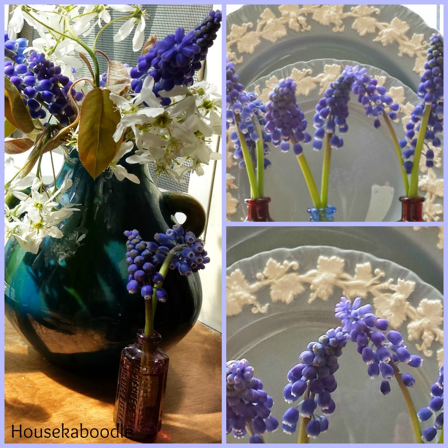 Grape Hyacinth Flowers in Tiny Vases
