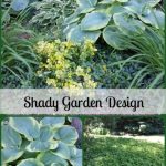 Shady Garden Design